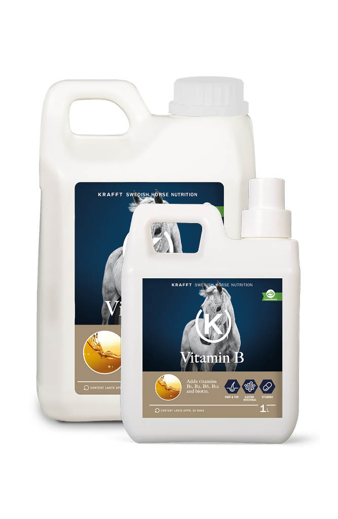 Krafft Vitamin B 5L Für Muskeln, Verdauung & Fell