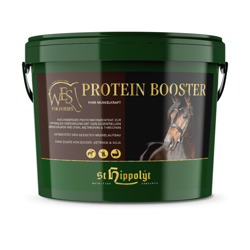 St.Hippolyt Wes Protein Booster 4 kg Eimer Pure Muskelkraft