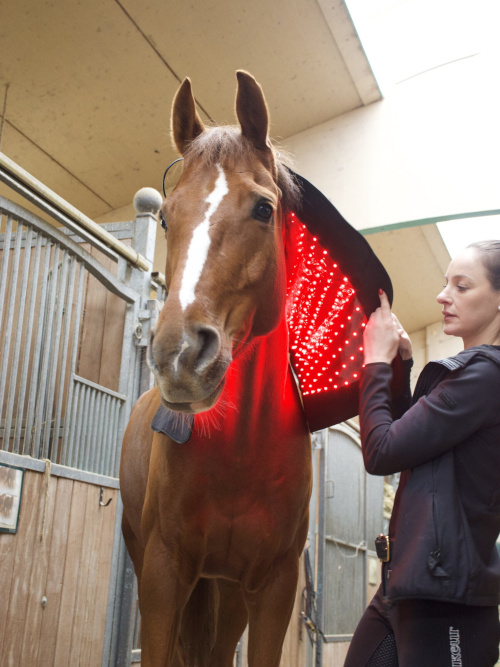 LuxMy Lichttherapie Xl-Pad Für Halswirbelsäule, Rücke, Brust & Kruppe
