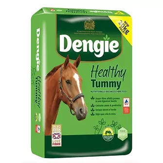 Produkt Bild Dengie Healthy Tummy 20kg Tüte 1