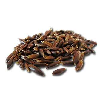 Produkt Bild Pavo Schwarzhafer - 20 kg 2