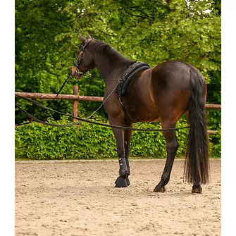 Produkt Bild Doppellonge Classic Silver 3