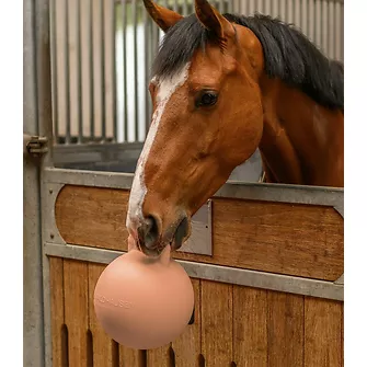 Produkt Bild Waldhausen Fun Ball mit Erdbeerduft 2