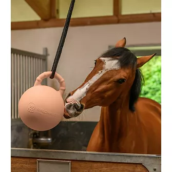 Produkt Bild Waldhausen Fun Ball mit Erdbeerduft 3