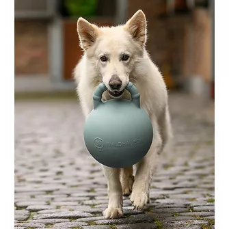 Produkt Bild Waldhausen Fun Ball mit Apfelduft 3