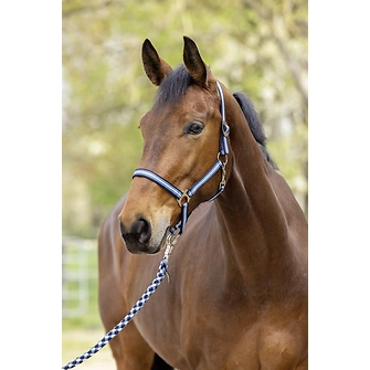 Produkt Bild Covalliero Halfter Hippo F/S 2026 2