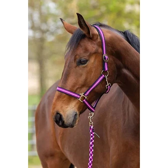 Produkt Bild Covalliero Halfter Hippo F/S 2026 2