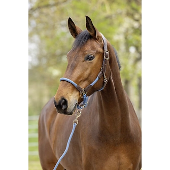 Produkt Bild Covalliero Halfter Cordano Deluxe F/S 2026 2
