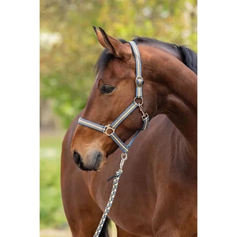 Produkt Bild Covalliero Halfter Hippo F/S 2026 2