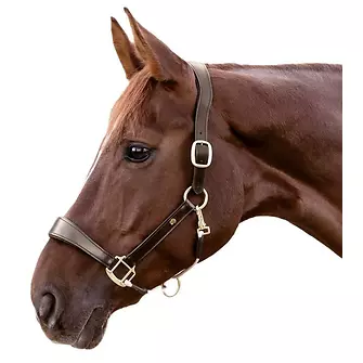 Produkt Bild Waldhausen Lederhalfter S-Line Royal 2