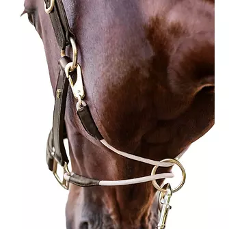 Produkt Bild Waldhausen Lederhalfter S-Line Royal 3