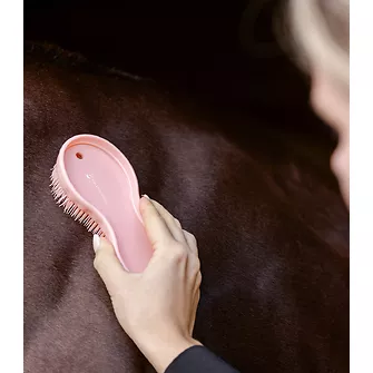 Produkt Bild Waldhausen All in One Brush 3