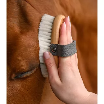 Produkt Bild Waldhausen Exclusive Line Kopfkardätsche 2