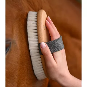 Produkt Bild Waldhausen Exclusive Line Glanzkardätsche 3