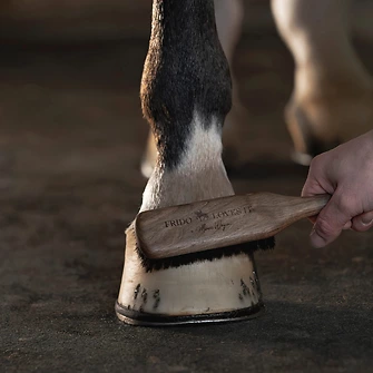 Produkt Bild FRIDO LOVES IT Hufbürste 2