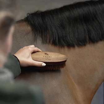 Produkt Bild FRIDO LOVES IT Wurzelbürste 2