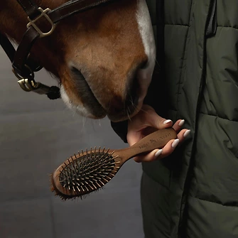 Produkt Bild FRIDO LOVES IT Doppelseitige Mähnenbürste 3