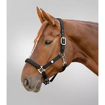 Produkt Bild Waldhausen Halfter Trinidad 2