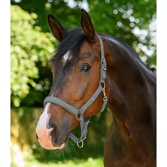 Produkt Bild Waldhausen Halfter Trinidad 2