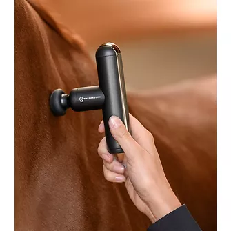 Produkt Bild Waldhausen Waldhausen Health + Care Massagegerät PocketRelax 2