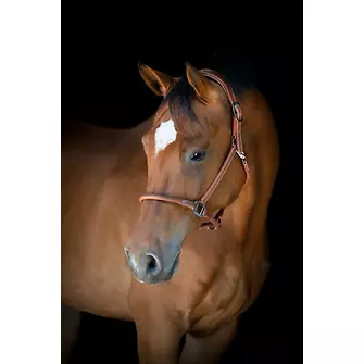 Produkt Bild CATAGO Lederhalfter  2