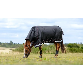 Produkt Bild LeMieux Arika Storm-Tek Rug 200g 3