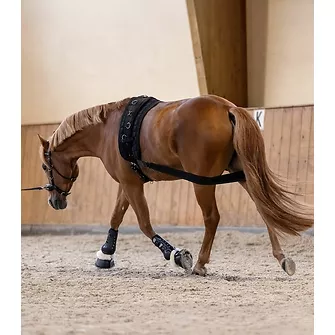 Produkt Bild Waldhausen Körperbandage 2