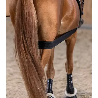 Produkt Bild Waldhausen Körperbandage 3