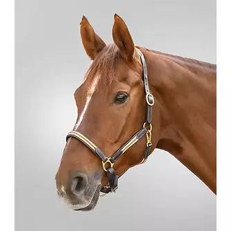 Produkt Bild Waldhausen Lederhalfter X-Line Oxford 2