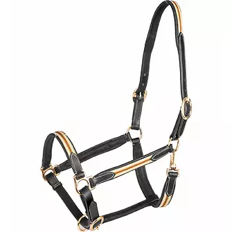 Produkt Bild Waldhausen Lederhalfter X-Line Oxford 2