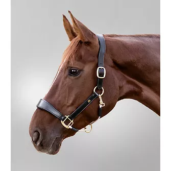 Produkt Bild Waldhausen Lederhalfter S-Line Royal 2