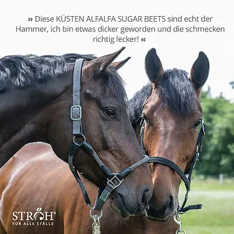 Produkt Bild STRÖH Küsten Alfalfa Sugar Beets Granulat 30kg Feedbox 7
