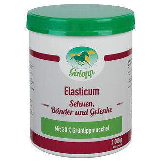 Galopp Elasticum 1 kg