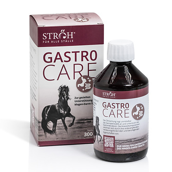 Produkt Bild STRÖH Gastro Care 300ml 1