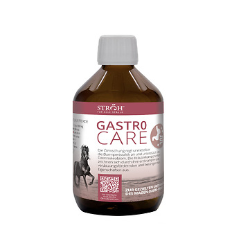 STRÖH Gastro Care 300ml