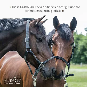 Produkt Bild STRÖH GastroCare Leckerli 4 kg Feedbox 7