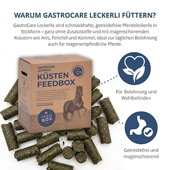 Produkt Bild STRÖH GastroCare Leckerli 4 kg Feedbox 2