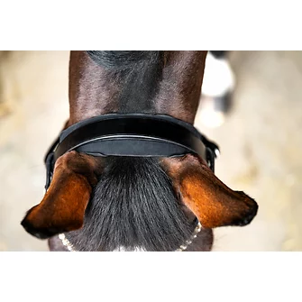 Produkt Bild r3vobanD Genickpolster 2