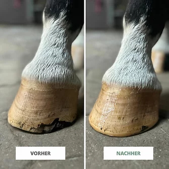Produkt Bild STRÖH Huffestiger 250 ml 2