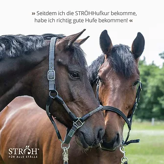 Produkt Bild STRÖH Küsten HUFKUR 9 kg Feedbox 7