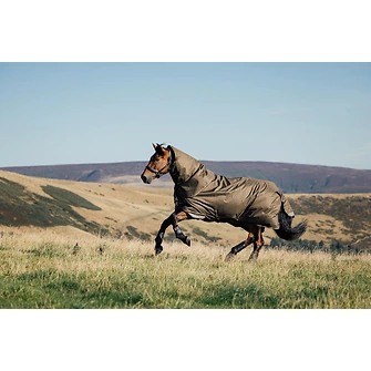 Produkt Bild LeMieux Arika Ripstop 50g Turnout Rug  2