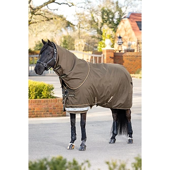 Produkt Bild LeMieux Arika Ripstop 50g Turnout Rug  3