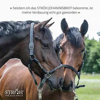 Produkt Bild STRÖH Johannisbrot 7kg Feedbox 7