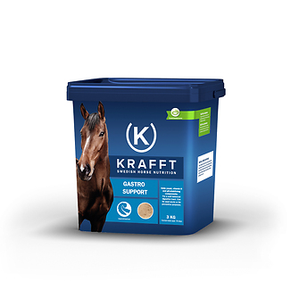 Produkt Bild KRAFFT GASTRO support 3kg 1