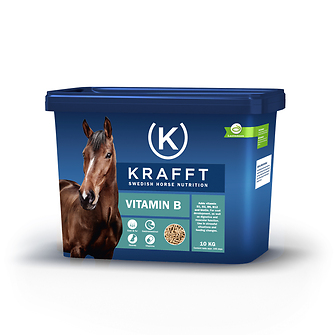 Produkt Bild KRAFFT Vitamin B 10kg 1