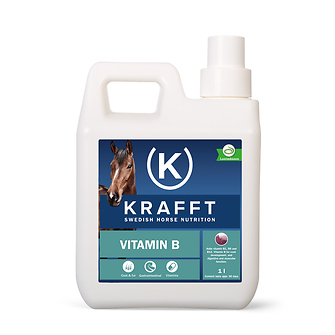 Produkt Bild KRAFFT Vitamin B 1L 1