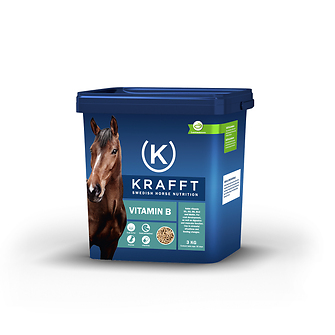 Produkt Bild KRAFFT Vitamin B 3kg 1
