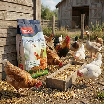 Produkt Bild Panto Geflügelkörnermischung 25kg 2