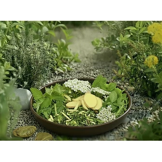 Produkt Bild Nobel Mobility Oil 1L 3