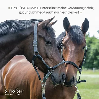 Produkt Bild STRÖH Küsten Mash 29kg Feedbox 7